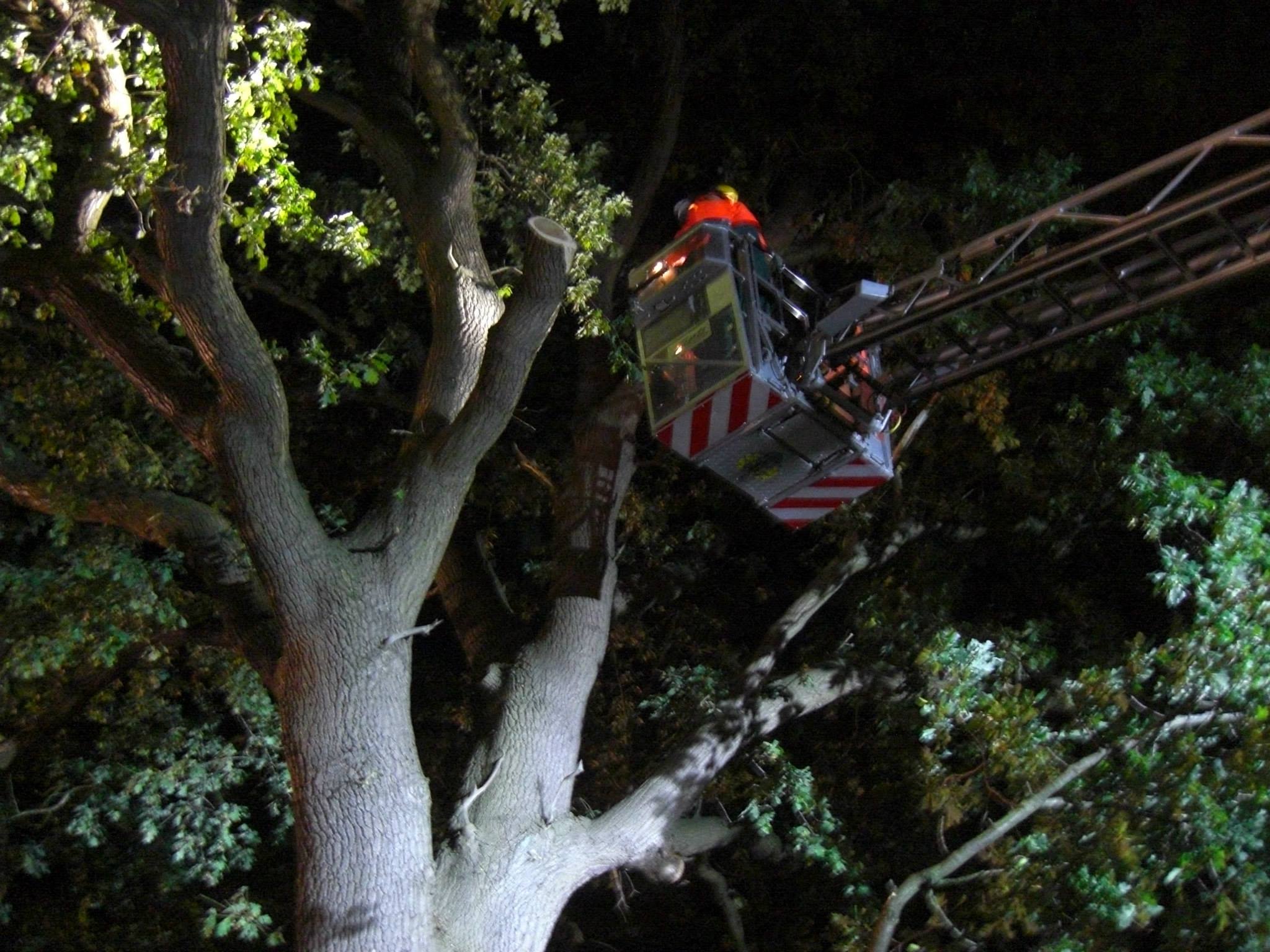 1273345 515494621868621 470721211 o 1273345 515494621868621 470721211 o