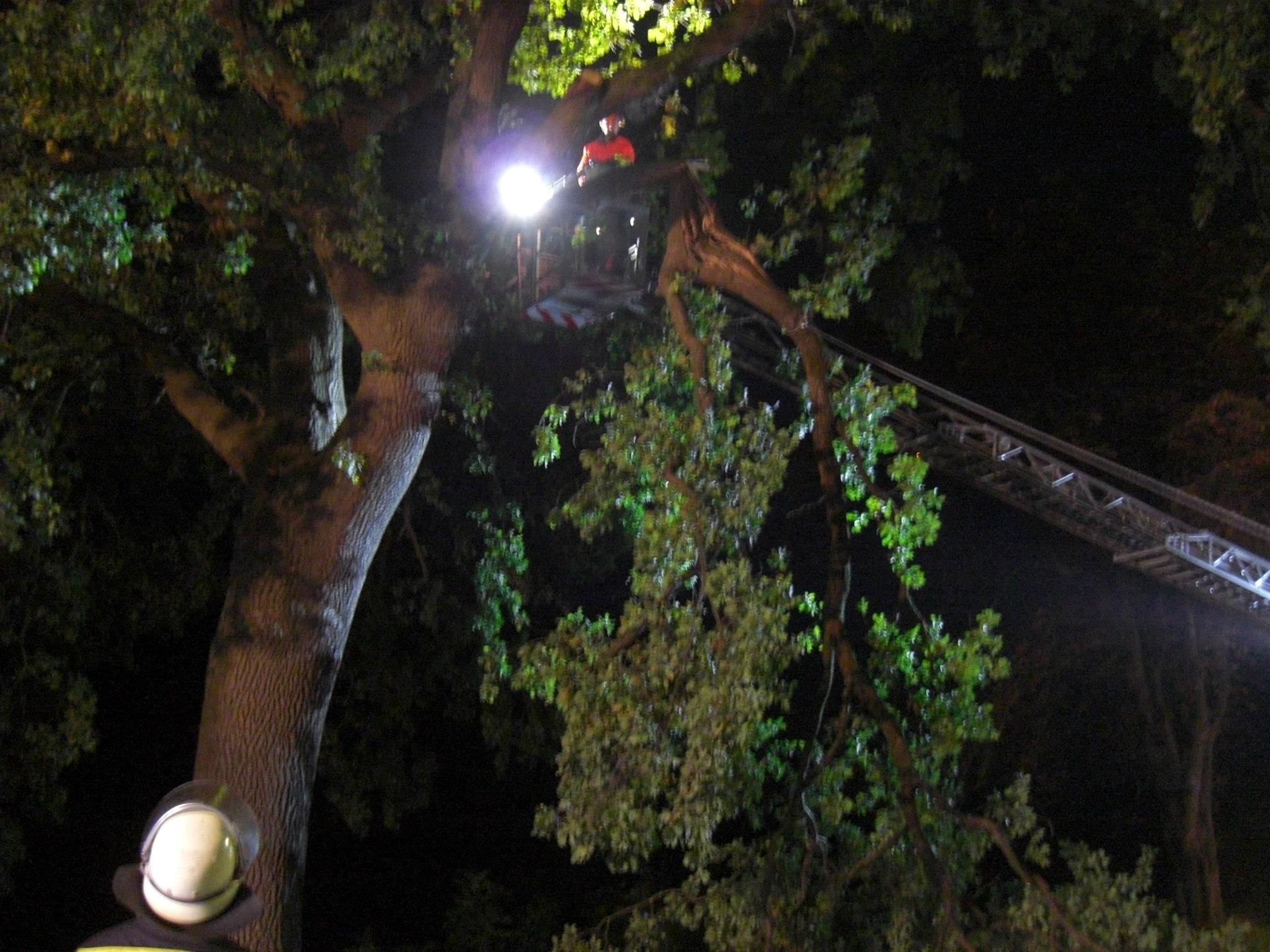 1275814 515494458535304 482144408 o 1275814 515494458535304 482144408 o