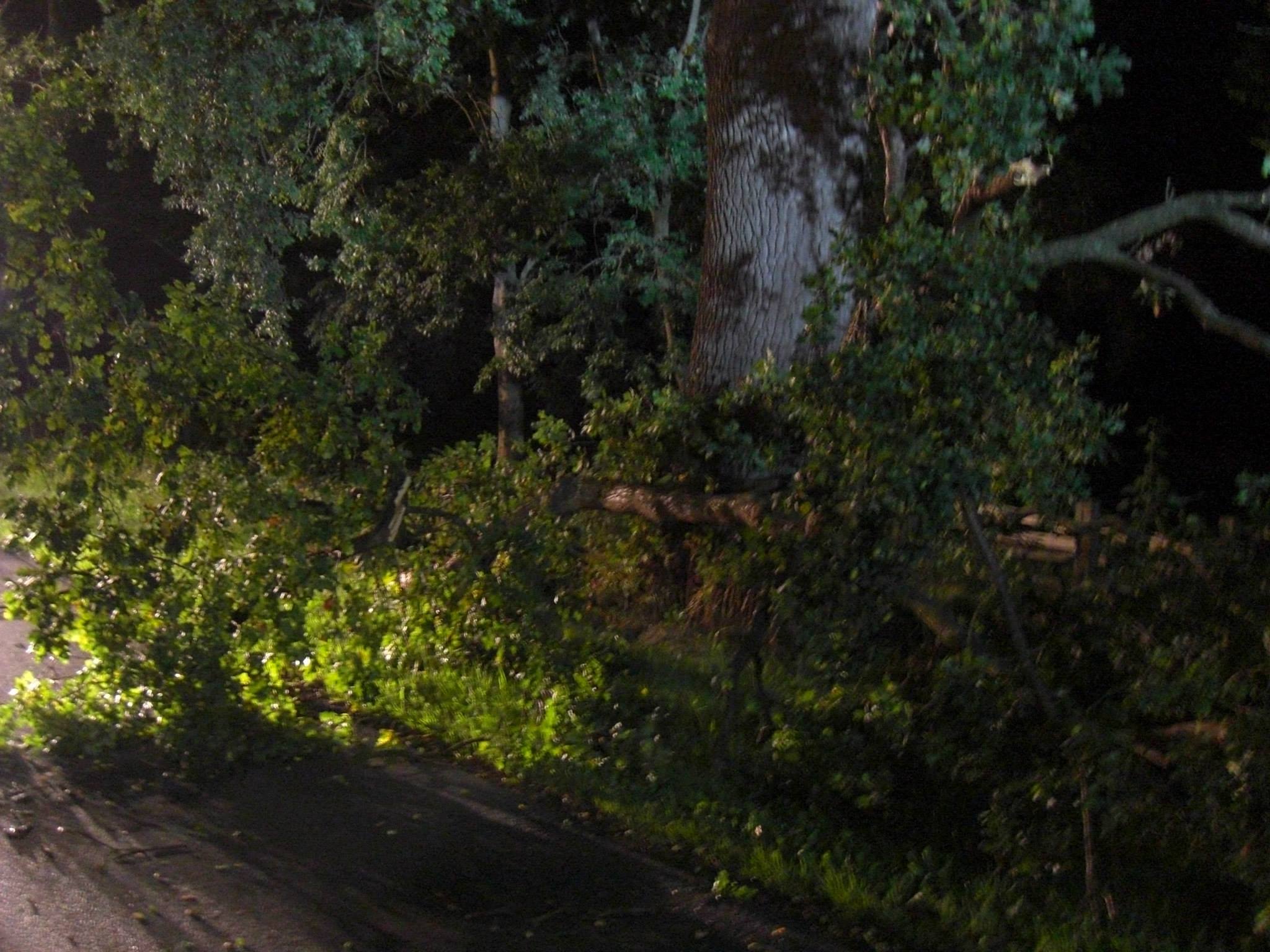 1277568 515494615201955 1281139765 o 1277568 515494615201955 1281139765 o