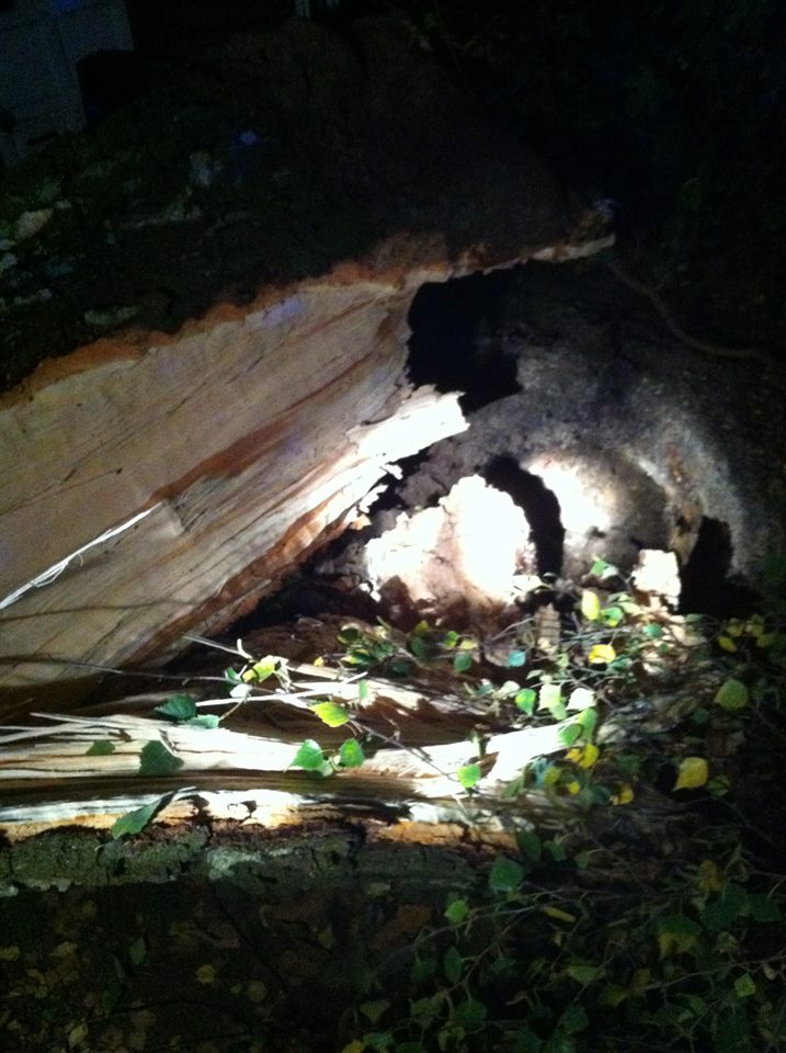 1378421 641292175923574 866375217 n 1378421 641292175923574 866375217 n