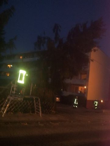 1381564 546307095452869 1313784504 n 1381564 546307095452869 1313784504 n