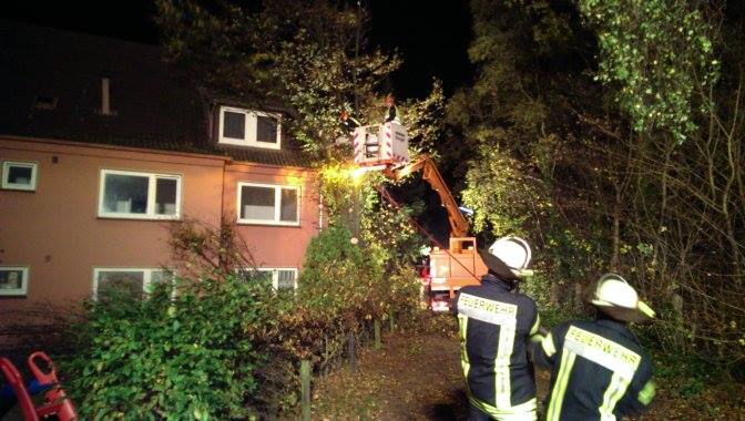 1383499 590591144342112 822675860 n 1383499 590591144342112 822675860 n