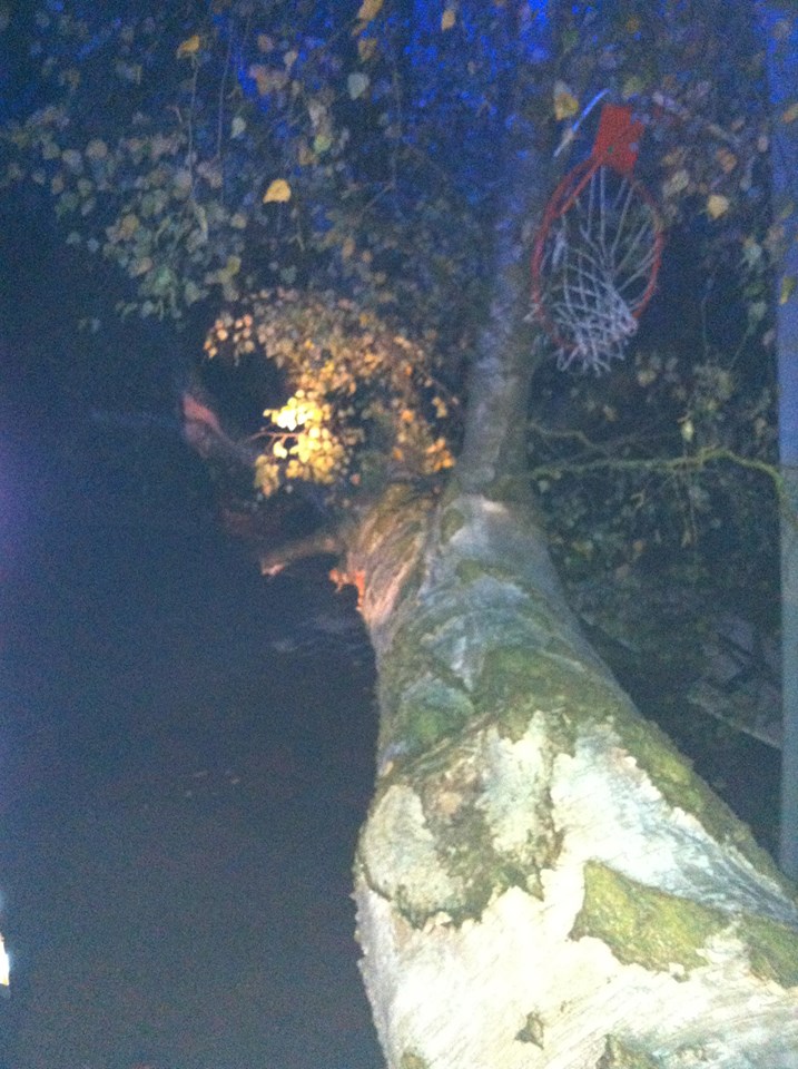 1384363 641292179256907 567593854 n 1384363 641292179256907 567593854 n