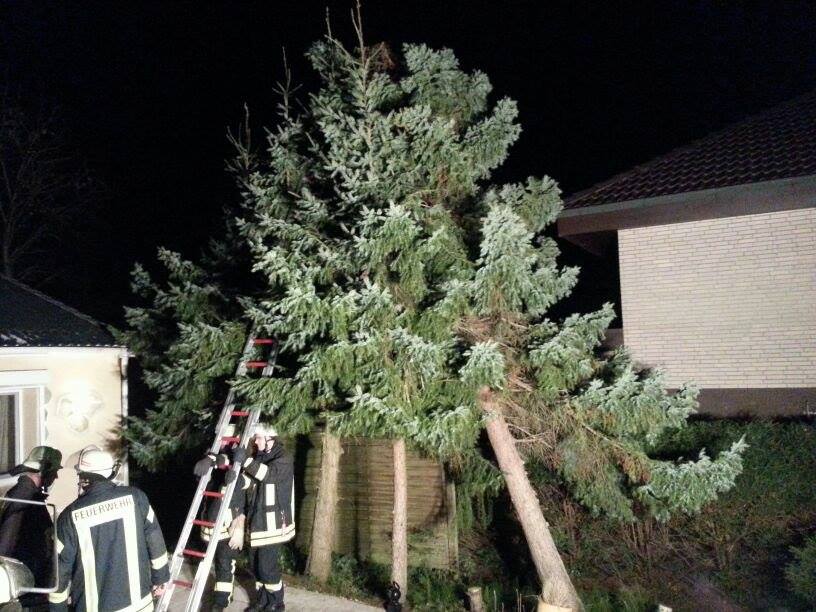 1385106 550510648361401 109522383 n 1385106 550510648361401 109522383 n