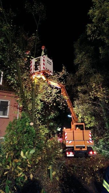 1392772 590590211008872 1314867139 n 1392772 590590211008872 1314867139 n