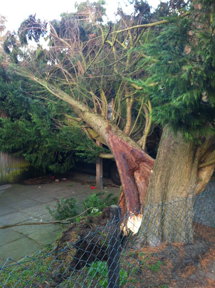 1424520 641292182590240 1818420750 n 1424520 641292182590240 1818420750 n