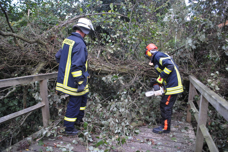 258144 1 galleryorg 730 008 328853 131029sturm 258144 1 galleryorg 730 008 328853 131029sturm