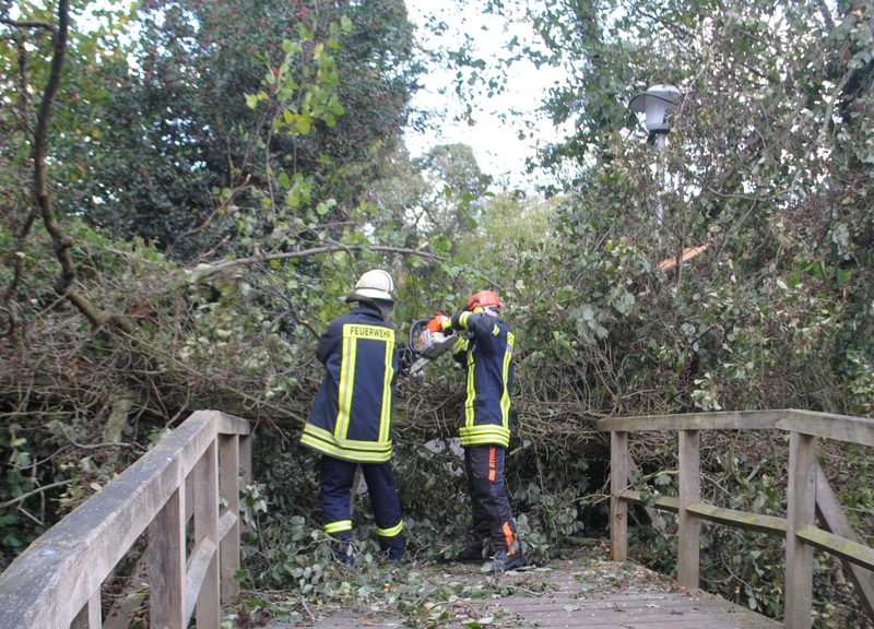 258145 1 galleryorg 730 008 328854 131029sturm 258145 1 galleryorg 730 008 328854 131029sturm