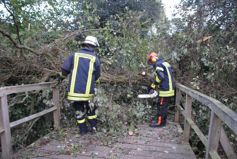 258163 1 galleryorg 730 008 328872 131029sturm 258163 1 galleryorg 730 008 328872 131029sturm