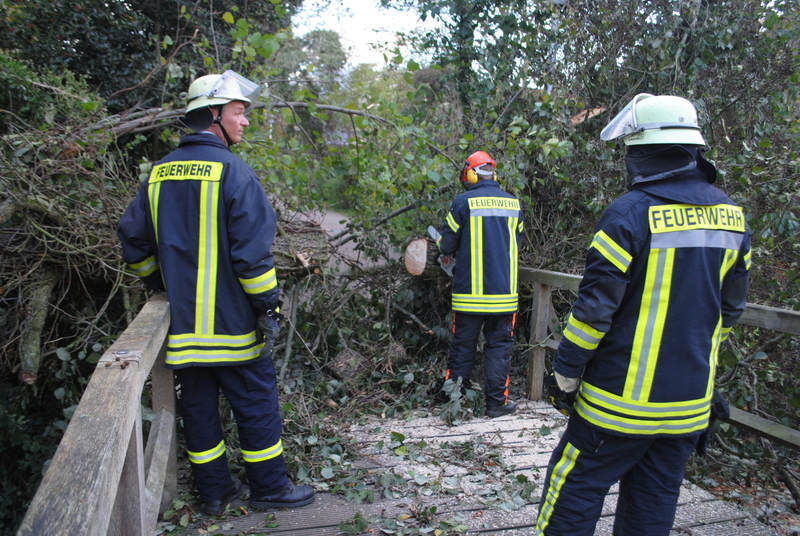 258165 1 galleryorg 730 008 328874 131029sturm 258165 1 galleryorg 730 008 328874 131029sturm