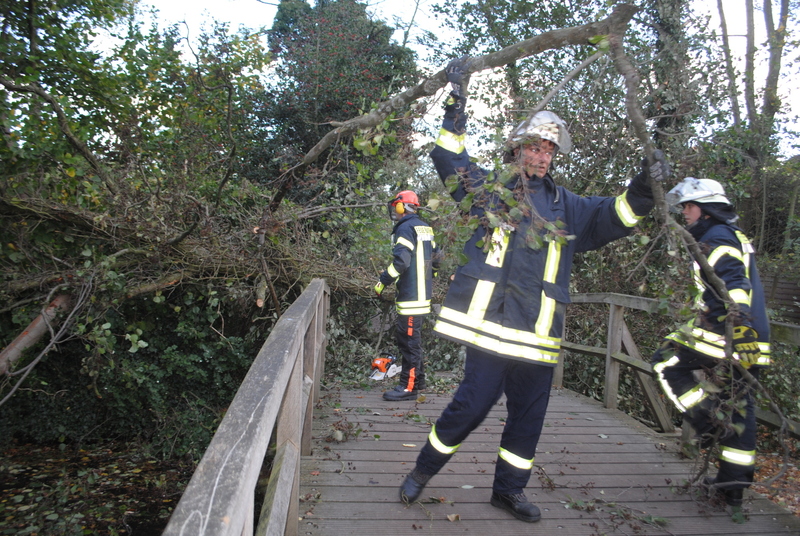 258166 1 galleryorg 730 008 328875 131029sturm 258166 1 galleryorg 730 008 328875 131029sturm