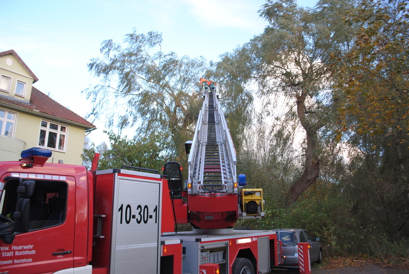 258167 1 galleryorg 730 008 328876 131029sturm 258167 1 galleryorg 730 008 328876 131029sturm