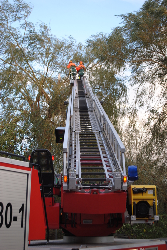 258171 1 galleryorg 730 008 328880 131029sturm 258171 1 galleryorg 730 008 328880 131029sturm