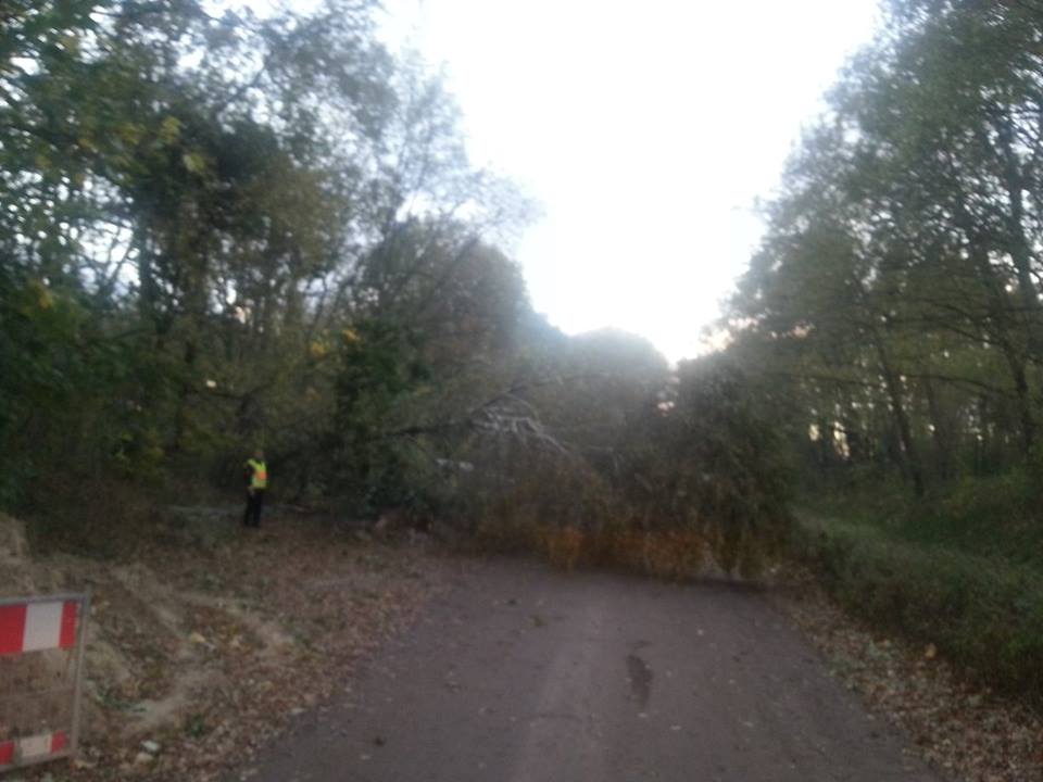 994044 10200942508632810 150675202 n 994044 10200942508632810 150675202 n