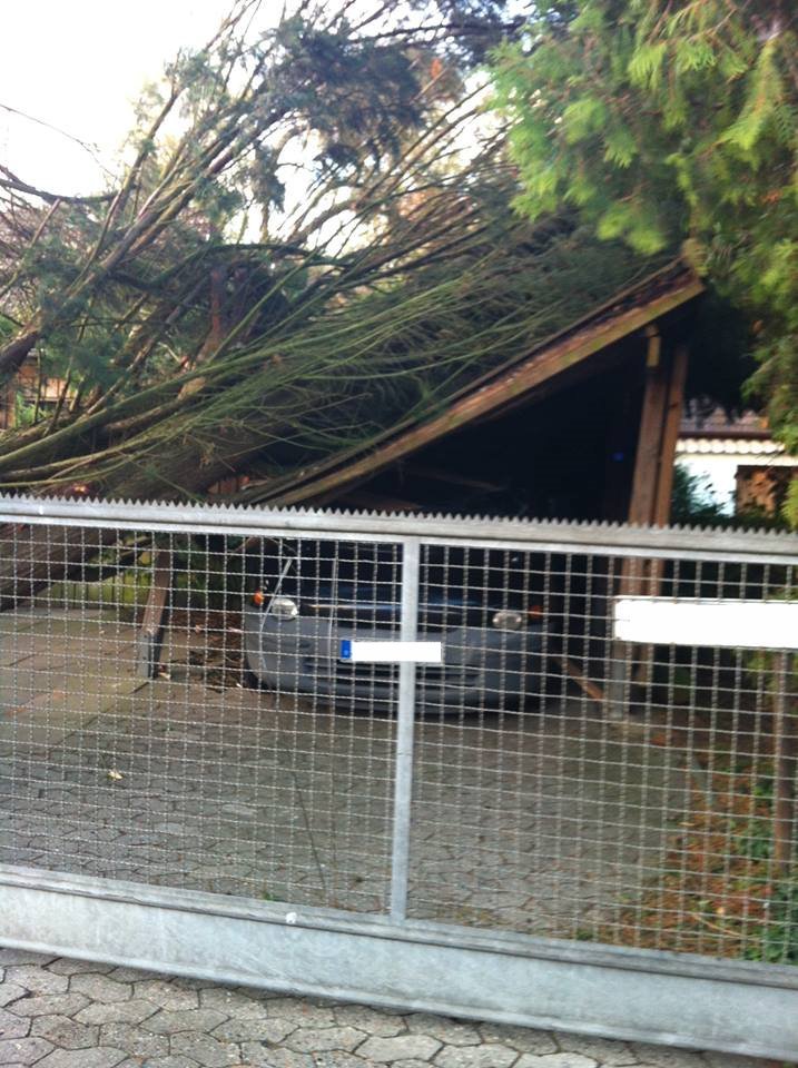 994566 641292192590239 1788162225 n 994566 641292192590239 1788162225 n