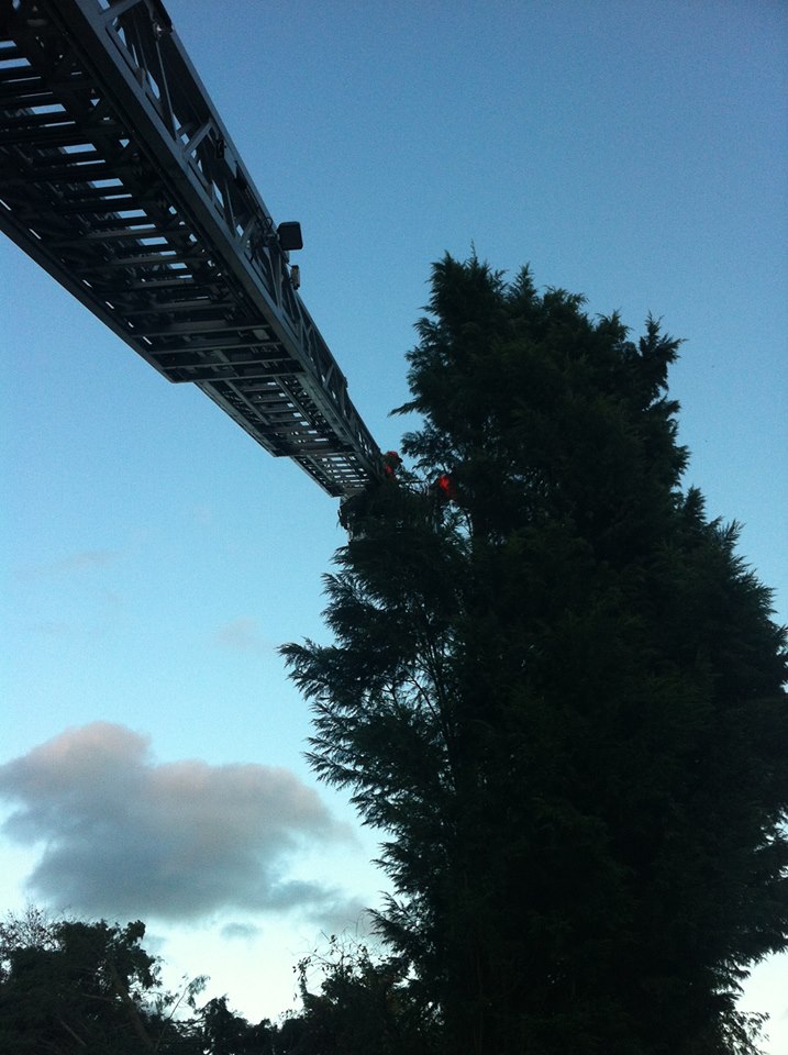 995552 641292185923573 1163209226 n 995552 641292185923573 1163209226 n