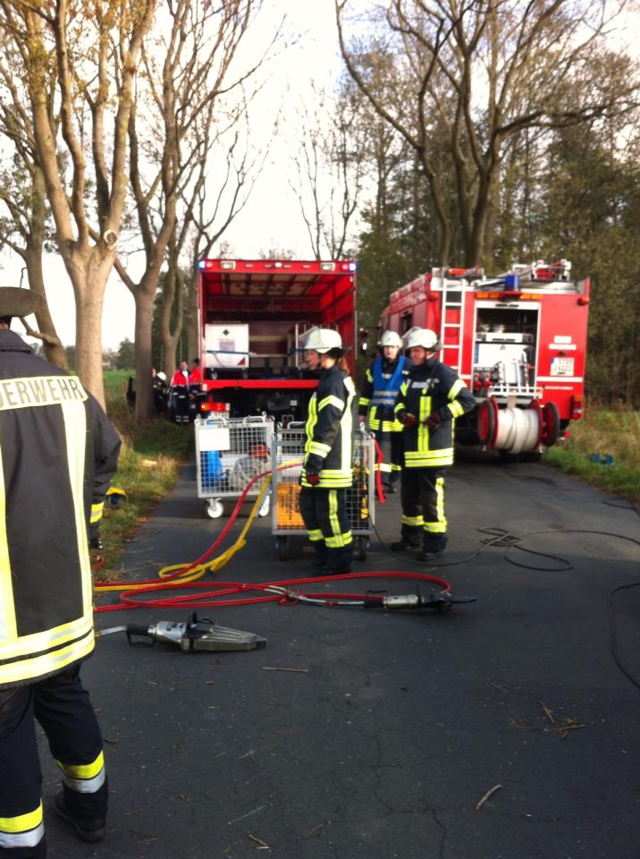 1380300 642117639174361 987671547 n 1380300 642117639174361 987671547 n