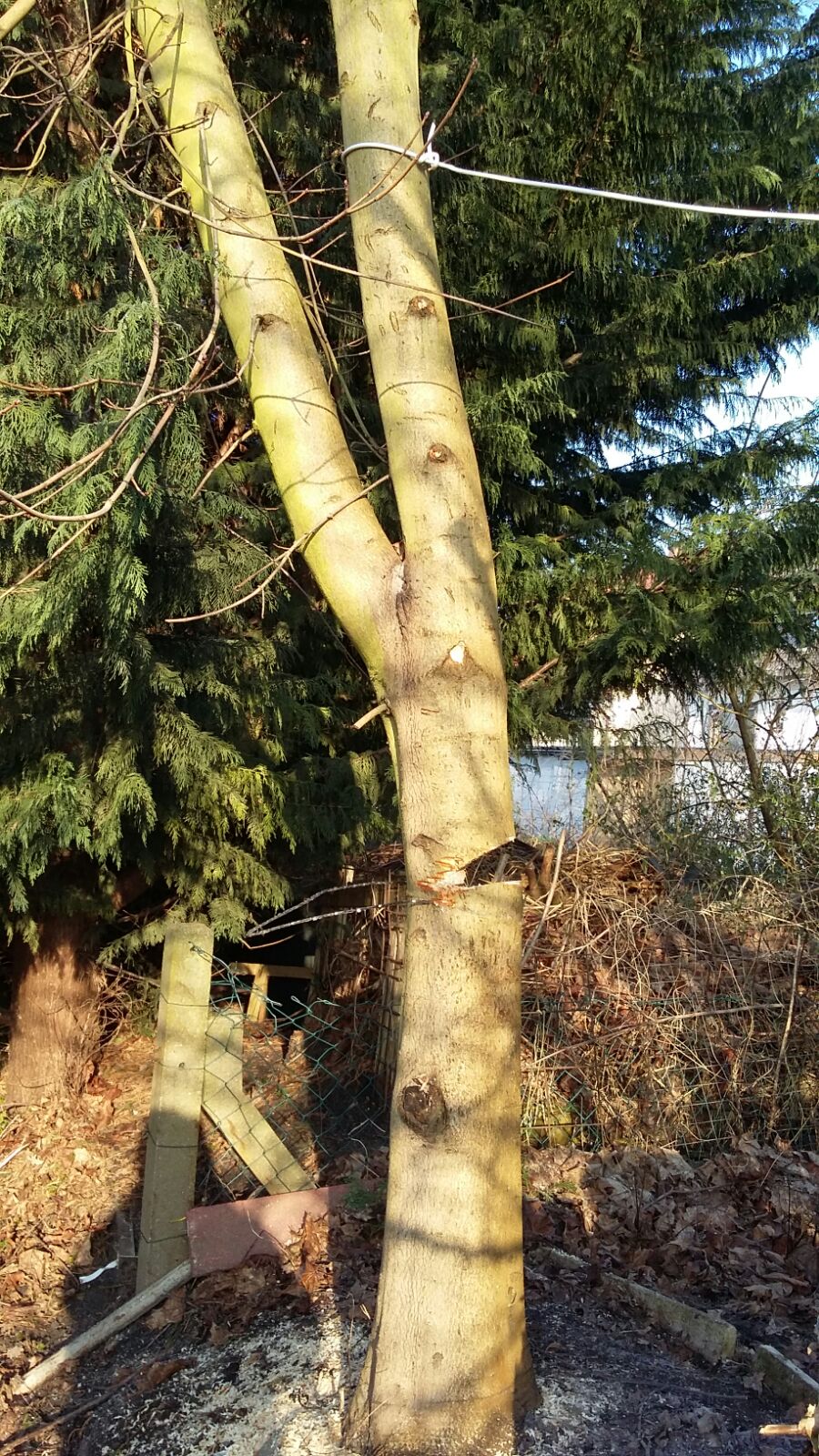 IMG-20160228-WA0001 IMG-20160228-WA0001