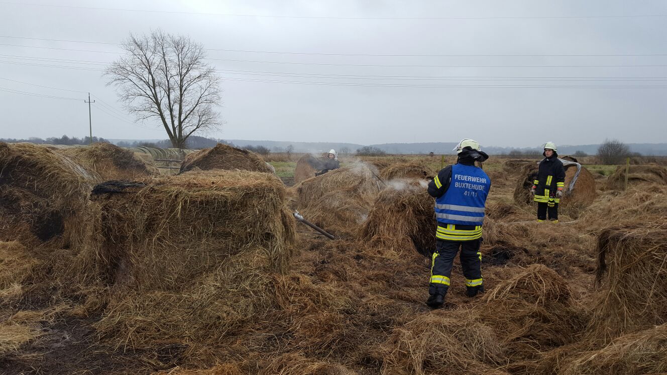 IMG-20161209-WA0017 IMG-20161209-WA0017