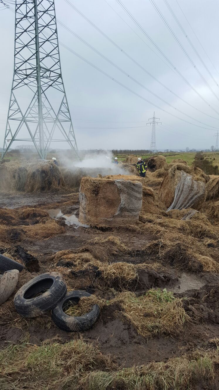 IMG-20161209-WA0018 IMG-20161209-WA0018