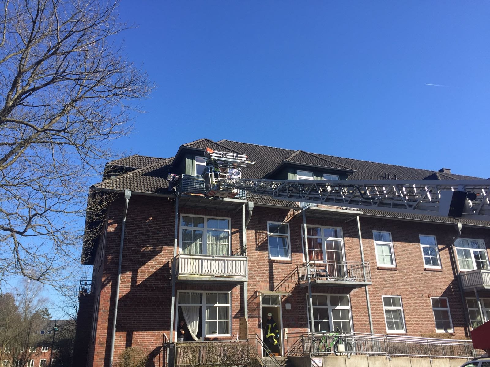 IMG-20170322-WA0006 1490476821159 1 IMG-20170322-WA0006 1490476821159 1