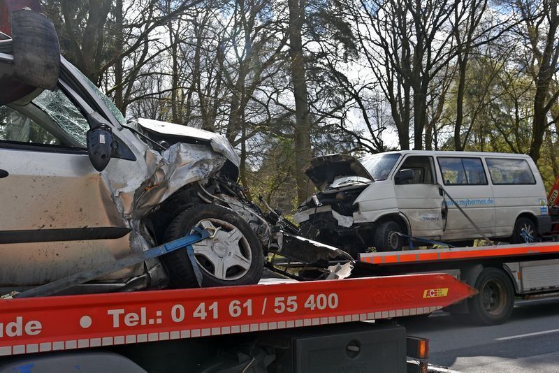 3612622 1 galleryorg DSC 4681 3612622 1 galleryorg DSC 4681