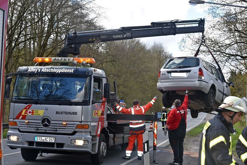 3612623 1 galleryorg DSC 4676 3612623 1 galleryorg DSC 4676