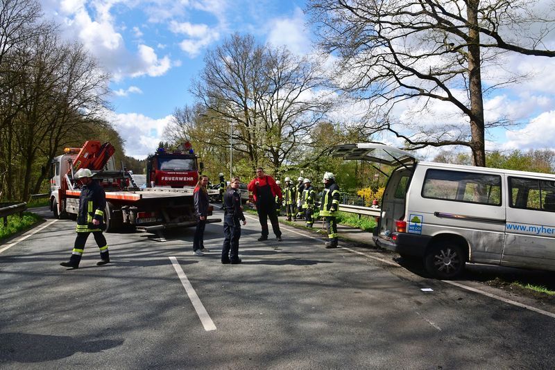 3612627 1 galleryorg DSC 4664 3612627 1 galleryorg DSC 4664