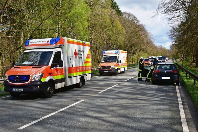 3612628 1 galleryorg DSC 4662 3612628 1 galleryorg DSC 4662