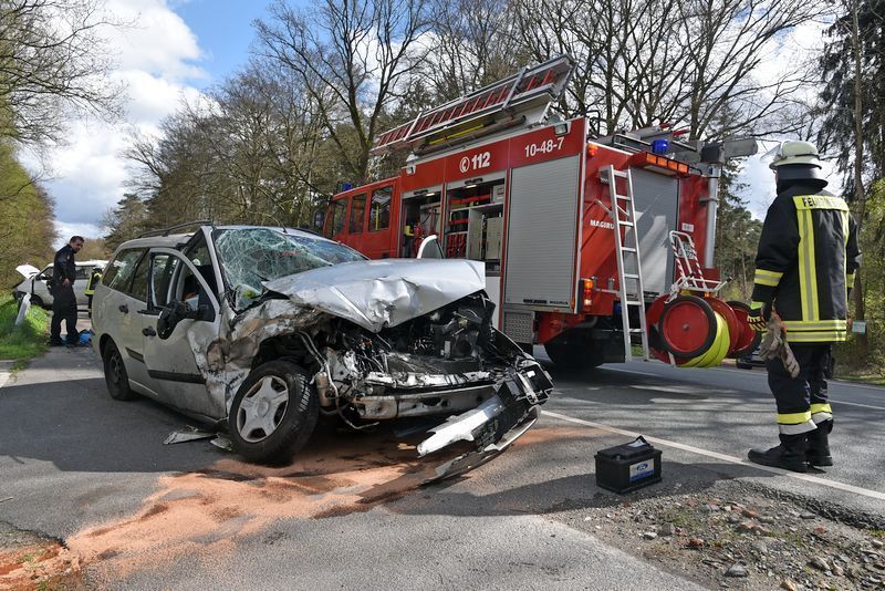 3612630 1 galleryorg DSC 4658 3612630 1 galleryorg DSC 4658