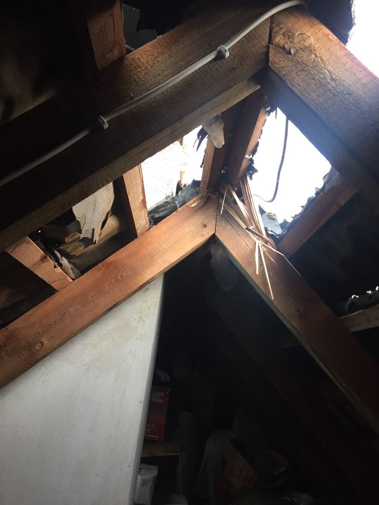 IMG-20170513-WA0017 1494787961590 IMG-20170513-WA0017 1494787961590