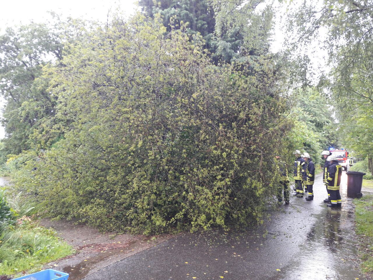 IMG-20170702-WA0014 1499024487183 IMG-20170702-WA0014 1499024487183