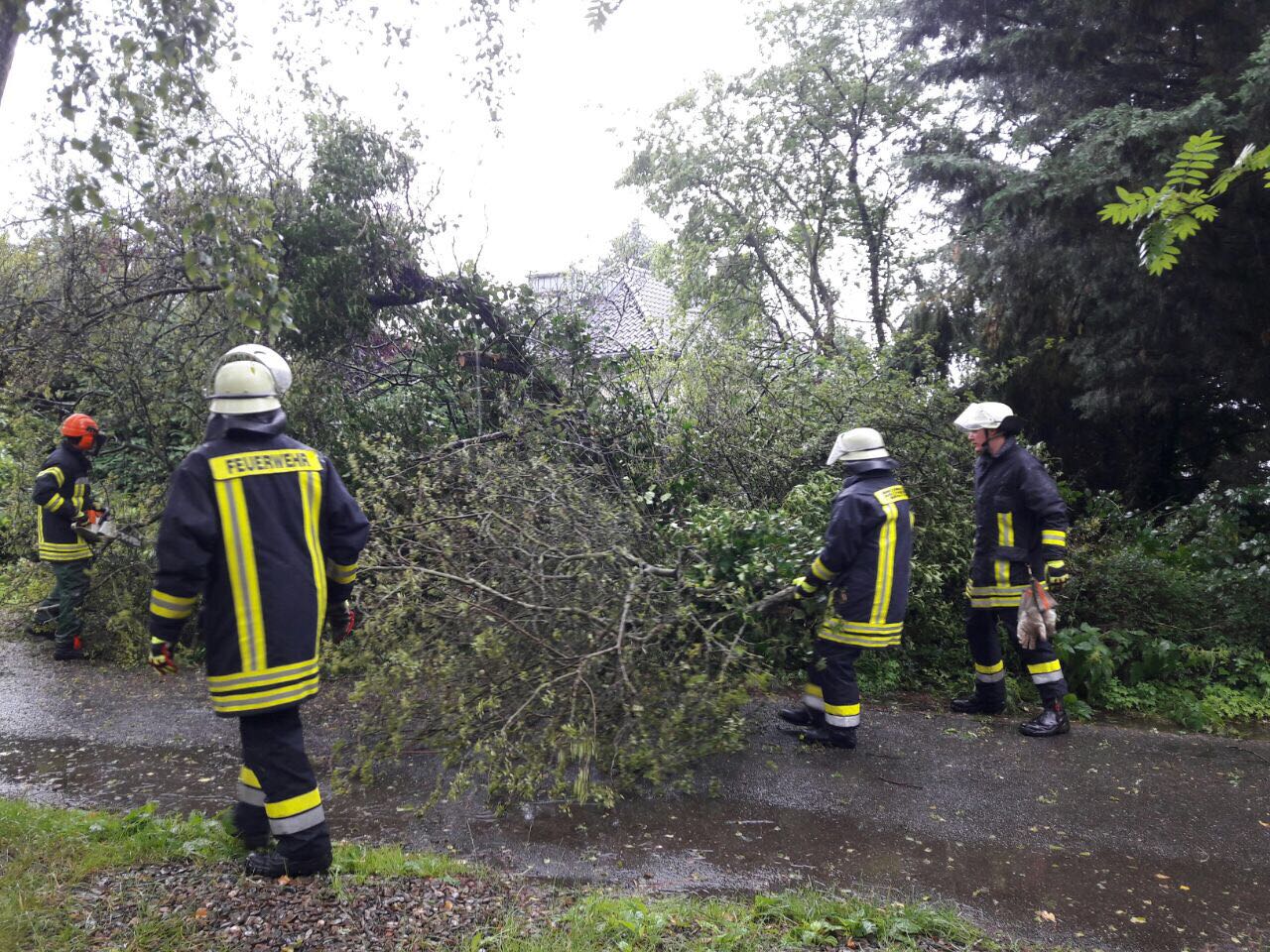 IMG-20170702-WA0015 1499024488274 IMG-20170702-WA0015 1499024488274