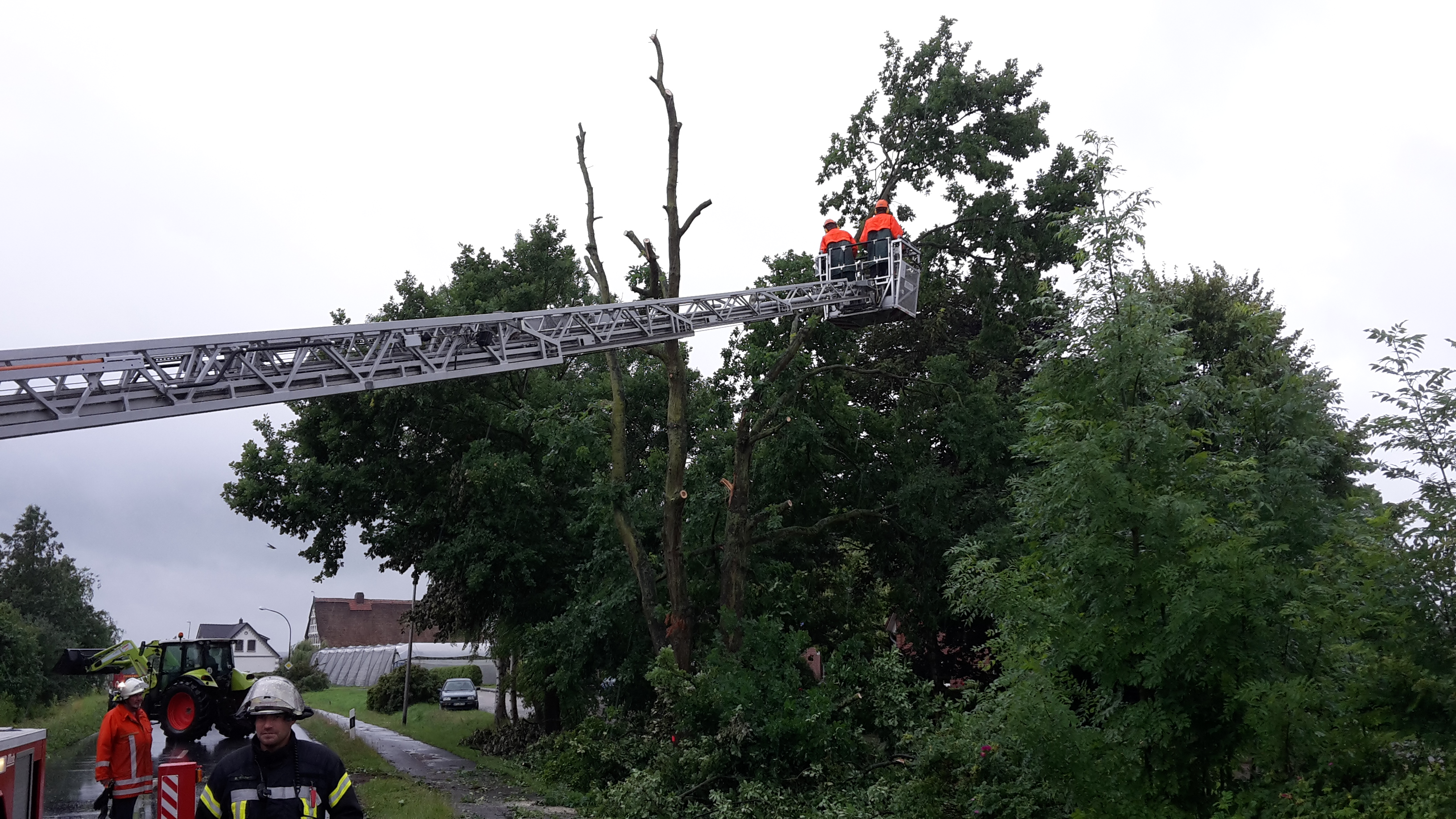 20170630 133953 20170630 133953