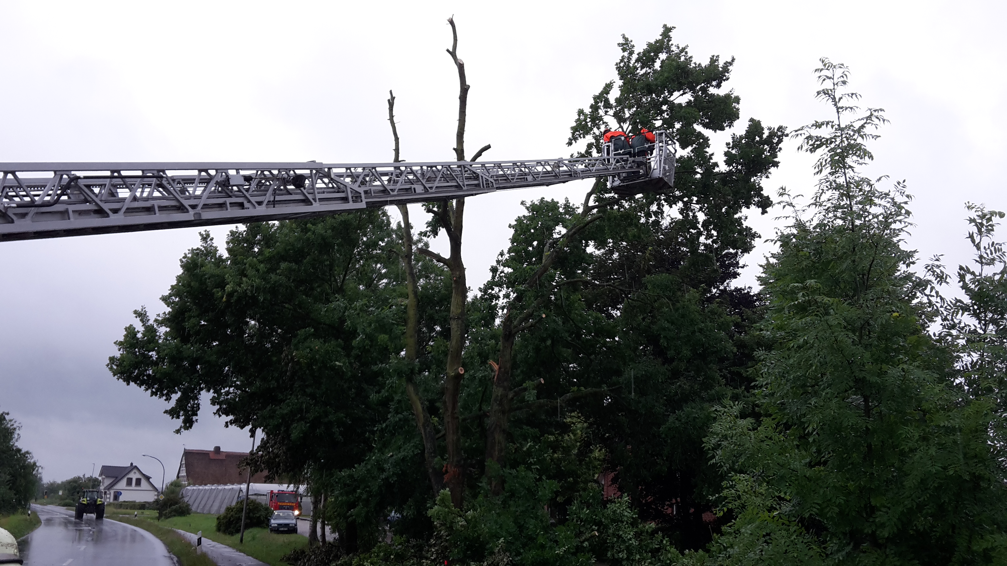 20170630 134006 20170630 134006