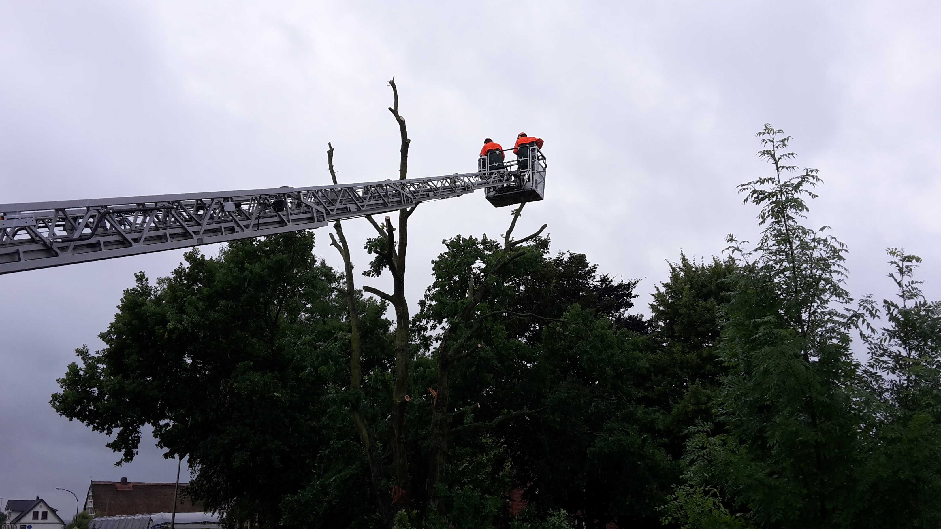 20170630 134128 20170630 134128