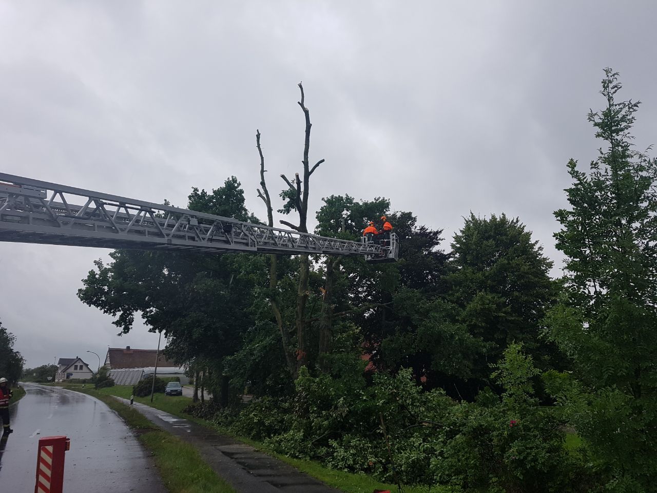 IMG-20170630-WA0014 1499018376420 IMG-20170630-WA0014 1499018376420