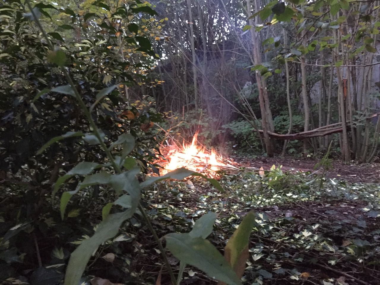 IMG-20170919-WA0010 1505983445379 IMG-20170919-WA0010 1505983445379