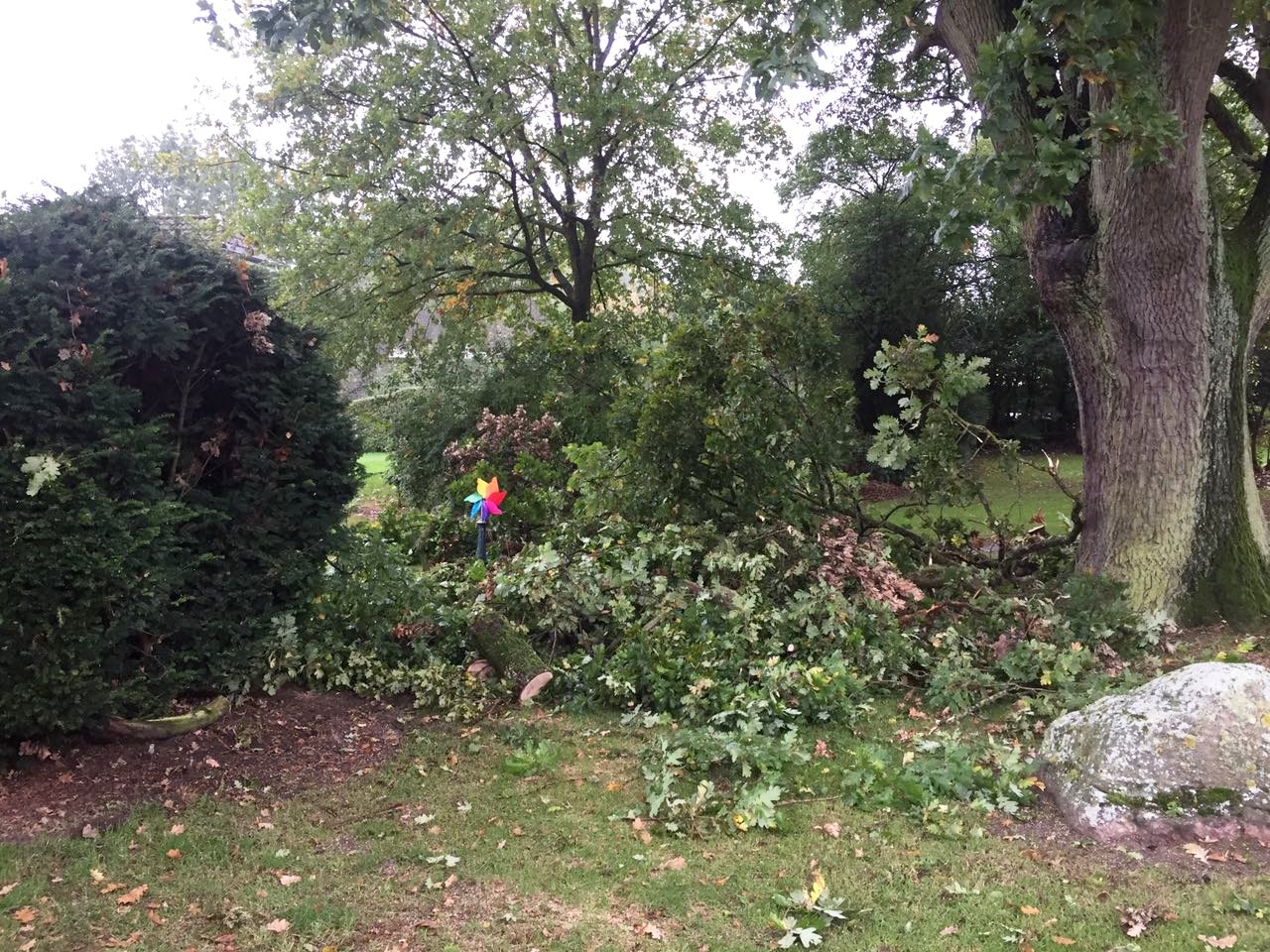 IMG-20171011-WA0024 1507749727667 IMG-20171011-WA0024 1507749727667