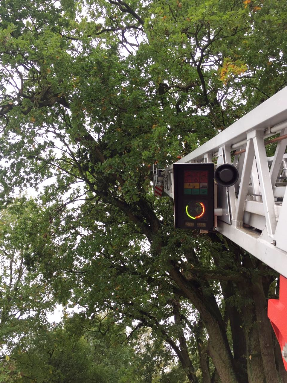 IMG-20171011-WA0025 1507749727935 IMG-20171011-WA0025 1507749727935