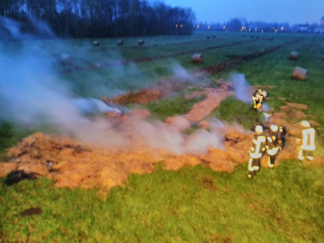 IMG-20171116-WA0001 1511126149352 IMG-20171116-WA0001 1511126149352