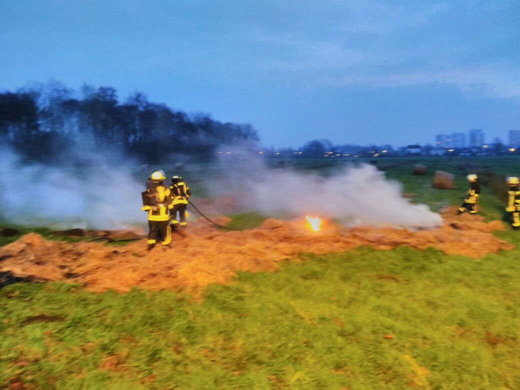 IMG-20171116-WA0003 1511126148703 IMG-20171116-WA0003 1511126148703