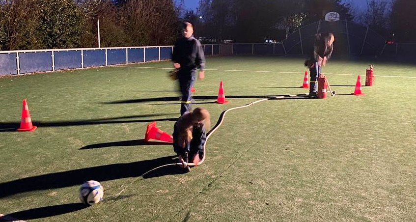 IMG-20221110-WA0018 IMG-20221110-WA0018