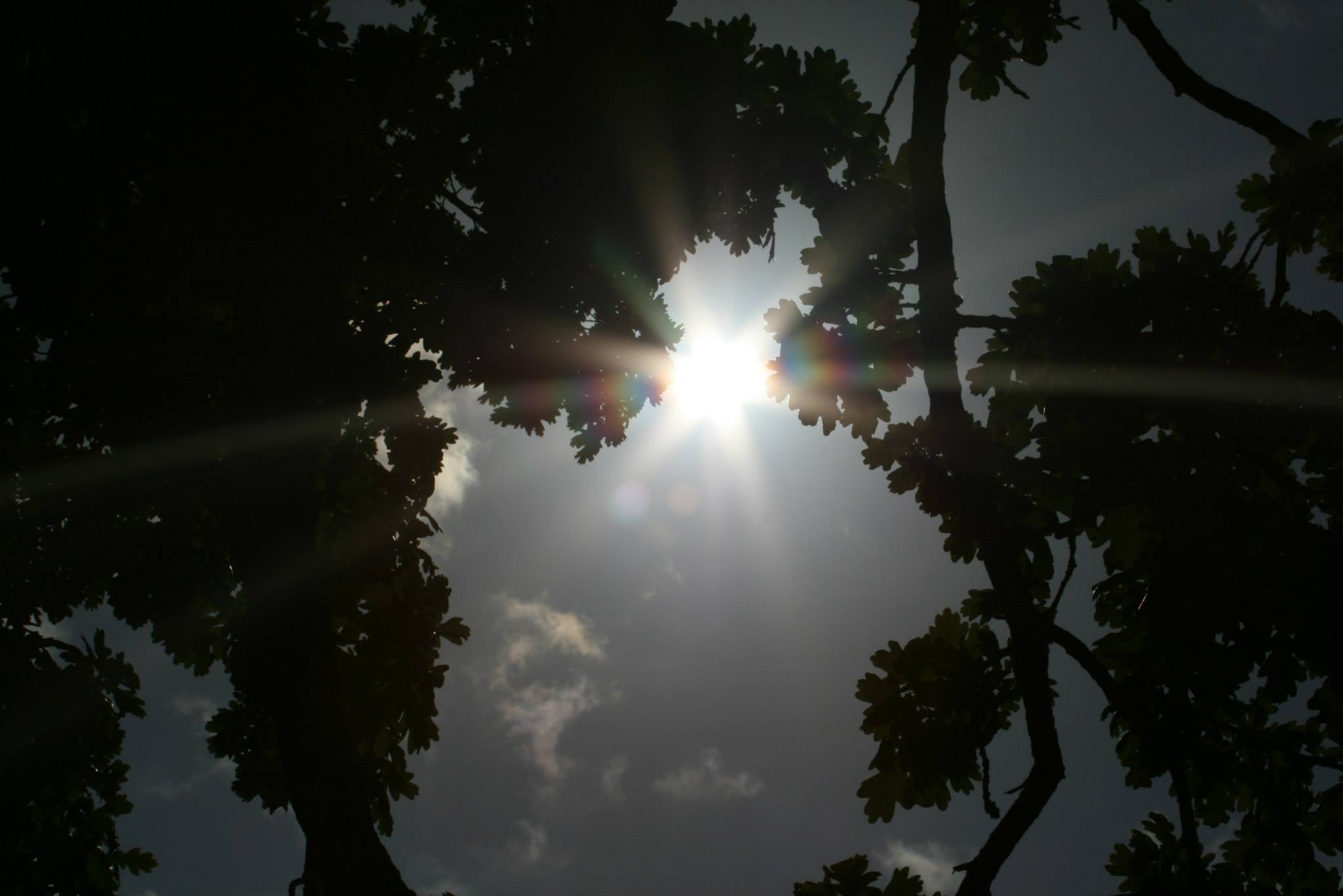 1052834 534469613256034 892212786 o 1052834 534469613256034 892212786 o