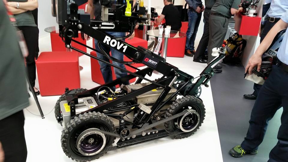 11251047 10200561052946931 7324618407345563692 n 11251047 10200561052946931 7324618407345563692 n