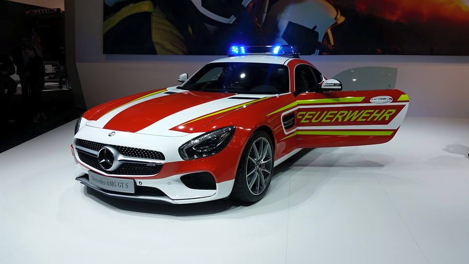 11407008 10200561051826903 6868882536267382227 n 11407008 10200561051826903 6868882536267382227 n