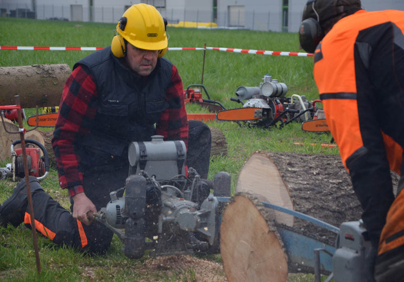 3955379 1 galleryorg DSC 0293 3955379 1 galleryorg DSC 0293